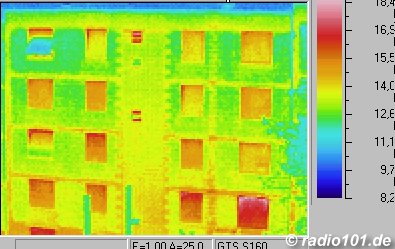 Mehrfamilienhaus: man sieht die Steigleitungen der Heizungen durch die Mauer 'schimmern'- Infrarotaufnahme / W&auml;rmebild / Thermografische Aufnahme: ein Eselchen (..man sieht gut die warme Schnauze und das isolierende Fell ;o)