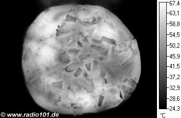 Thermografische Aufnahme / W&auml;rmebild: Pizza Hawaii als Infrarotaufnahme